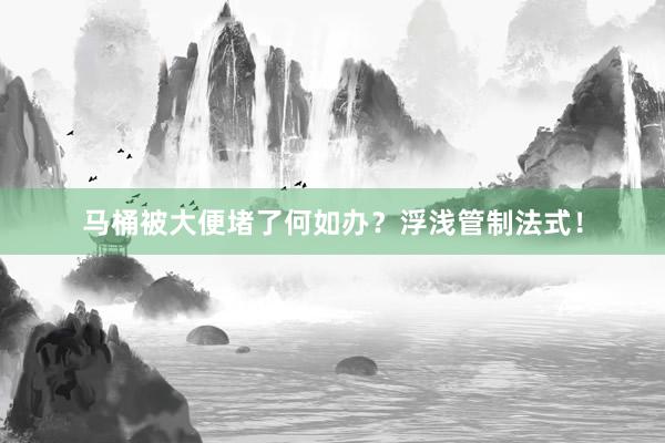 马桶被大便堵了何如办？浮浅管制法式！